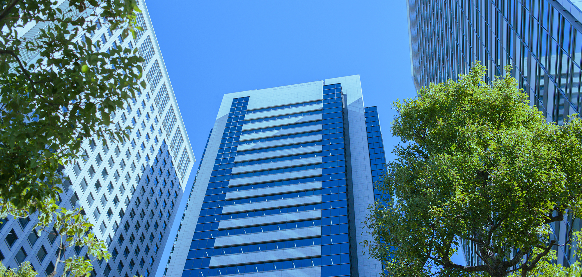 にしむらグループ